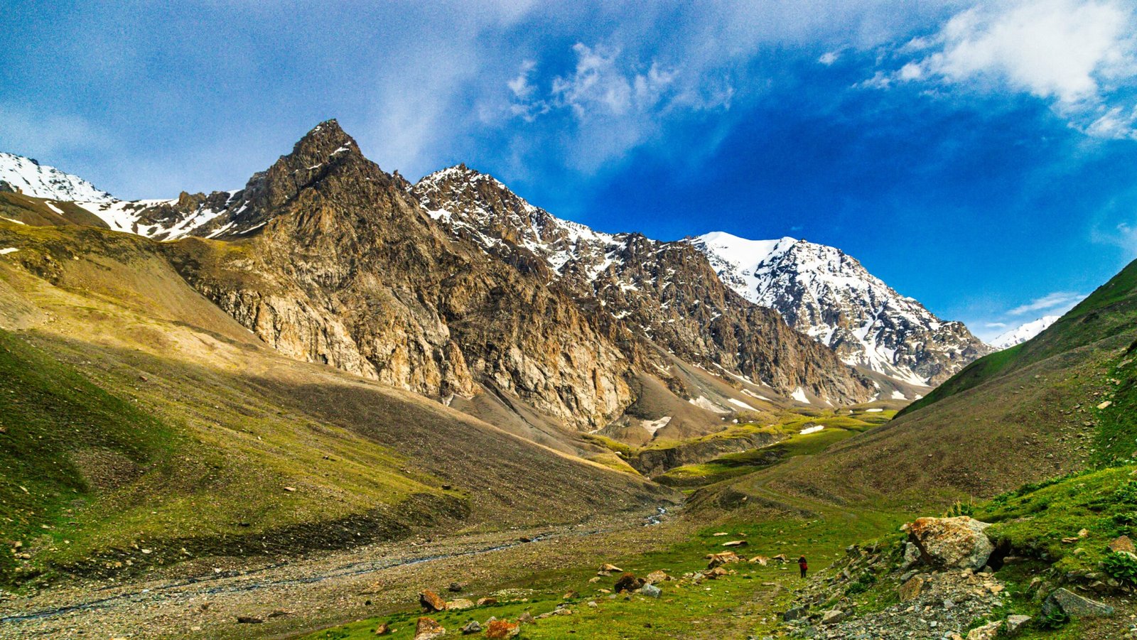 Alay Valley in Kyrgyzstan covered with greenery with snowy peaks in backdrop