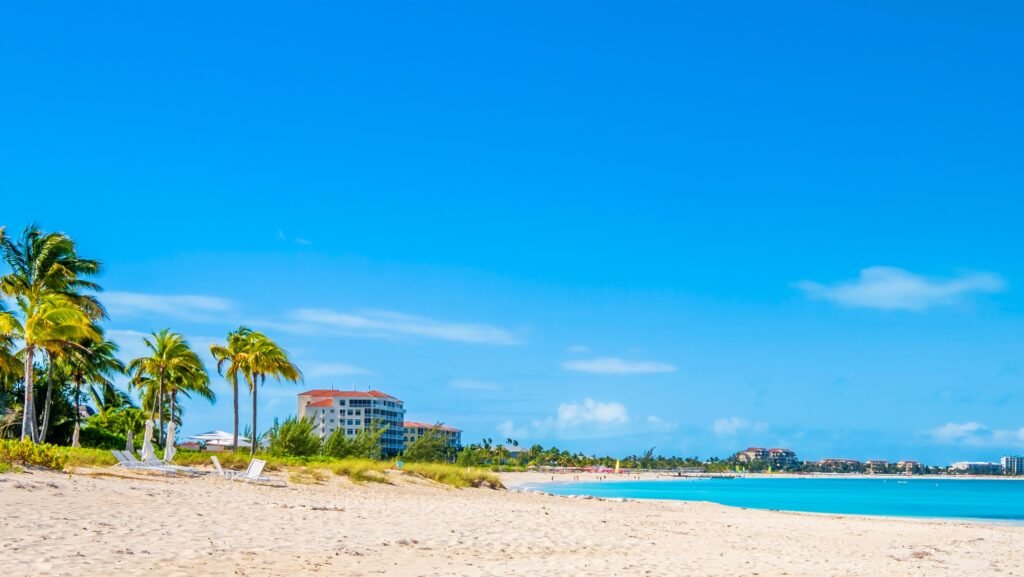 Hotels and palm trees along Grace Bay Beach,Turks and Caico