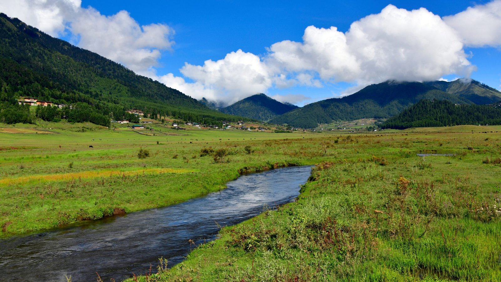 Winding stream and some houses in backdrop in the Phobjikha Valley, Bhutan