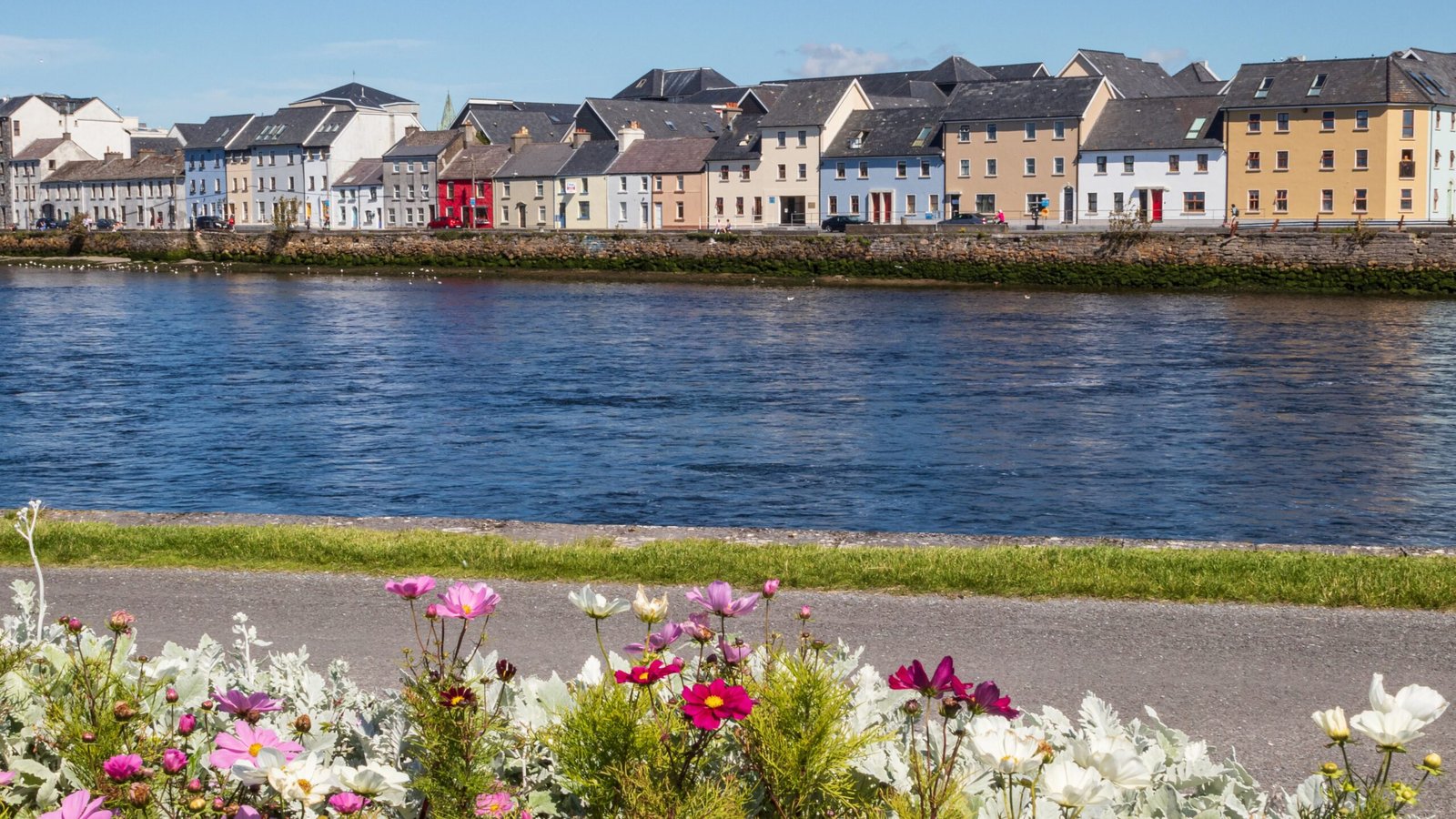 Flowers line the Claddagh in Galway city on a clear day