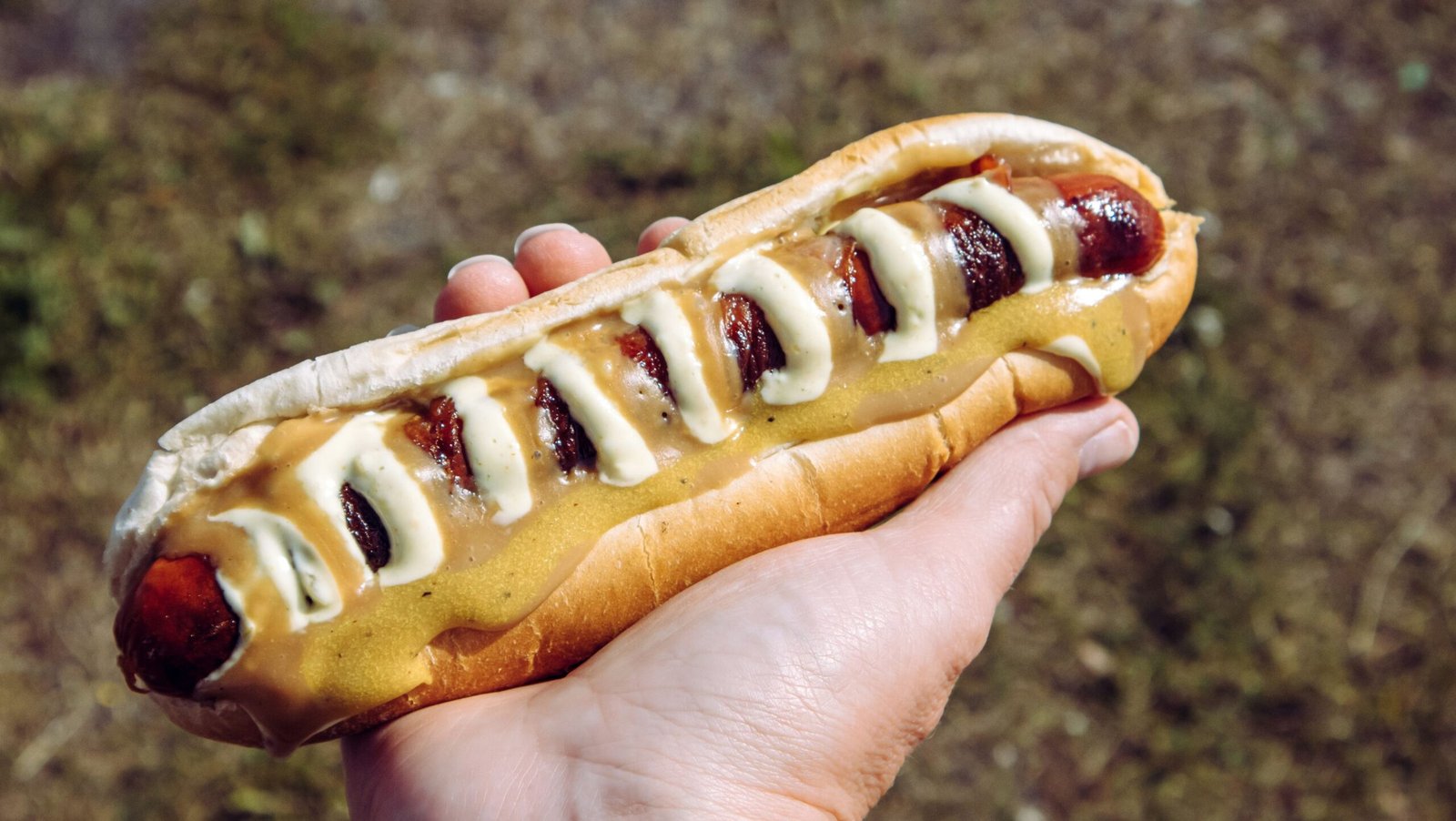 National dish of Iceland