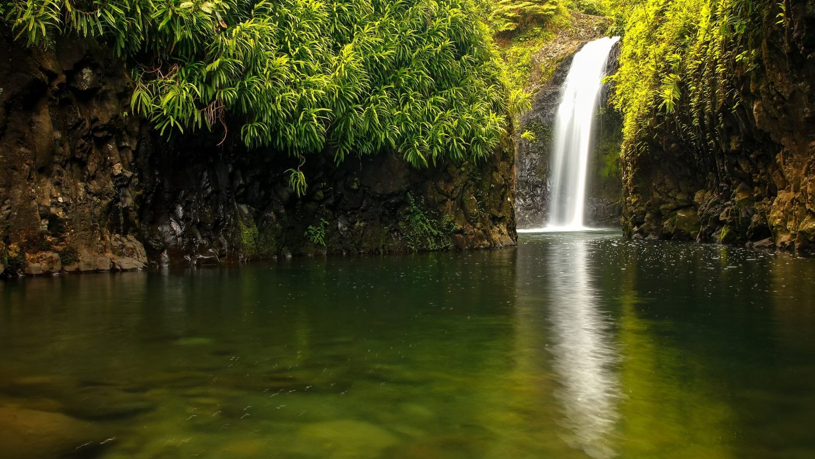 Wainibau Waterfall on Taveuni Island, Fiji