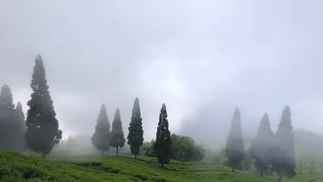 🌄 Must-Visit Beautiful Spots in Darjeeling