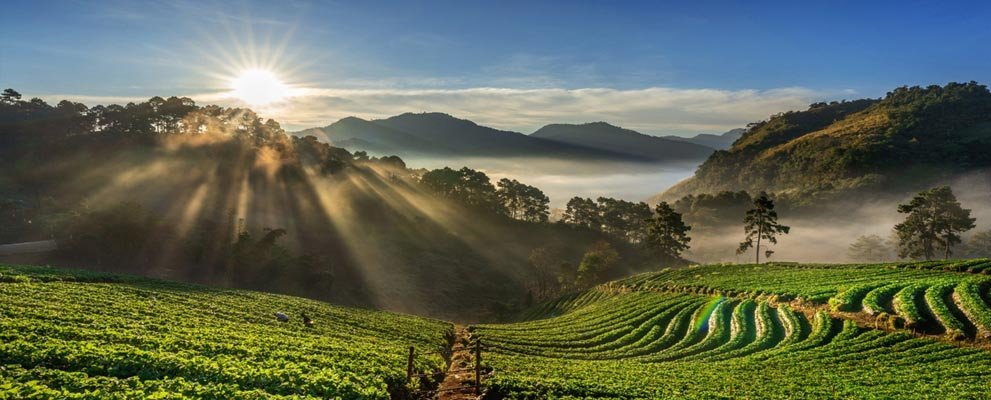 3 Days in Coorg: Coffee Trails and Nature Escape